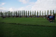 AGESCI-reg.EM-ROMAGNA_centenario2017_01031-Albero_fond.2015-Molinella1