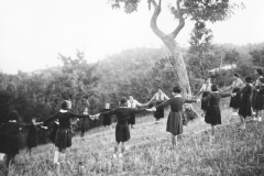 AGI-Bologna_01700-Albero_1952_coccinelle-BO1-Monzuno-campo-della-fraternità_settembre