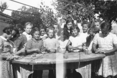 AGI-Bologna_01702-Albero_1952_coccinelle-BO1-Monzuno-campo-della-fraternità_settembre