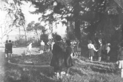 AGI-Bologna_01704-Albero_1952_coccinelle-BO1-Monzuno-campo-della-fraternità_settembre