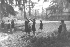 AGI-Bologna_01705-Albero_1952_coccinelle-BO1-Monzuno-campo-della-fraternità_settembre