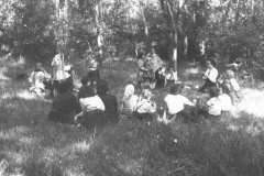 AGI-Bologna_01706-Albero_1952_coccinelle-BO1-Monzuno-campo-della-fraternità_settembre