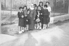 AGI-Bologna_01717-Albero_1953_coccinelle-BO1-e-Mirandola-a-Granaglione-in-accantonamento