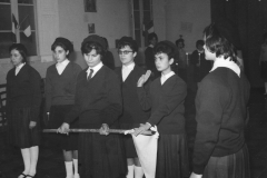 AGI-Bologna_00011-Albero_1960-inizio-decennio_BO5-promessa-Lucia-Cammelli