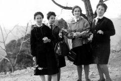 AGI-Bologna_00015-Albero_1961_uscita-capo
