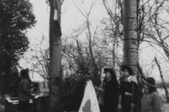 AGI-Bologna_00022-Albero_1964_BO5-campo-inv-a-Gaggio-di-Piano_dicembre