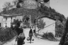 AGI-Bologna_00033-Albero_1965_BO5-S.Giorgio-reg-a-Castello-di-Rossena