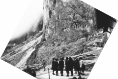 AGI-Bologna_00039-Albero_1965_BO5-campo-rep-Campitello-Fassa_lug-ago