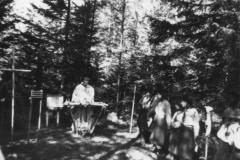 AGI-Bologna_00040-Albero_1965_BO5-campo-rep-Campitello-Fassa_lug-ago