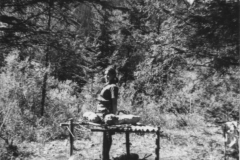 AGI-Bologna_00042-Albero_1965_BO5-campo-rep-Campitello-Fassa_lug-ago