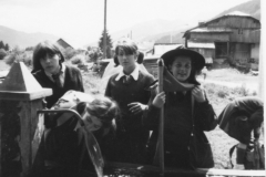 AGI-Bologna_00044-Albero_1965_BO5-campo-rep-Campitello-Fassa_lug-ago
