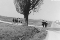 AGI-Bologna_00064-Albero_1966_BO5-Fuoco-route-Pasqua-Lago-di-Como