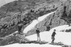 AGI-Bologna_00072-Albero_1966_BO5-Fuoco-route-Gran-Paradiso
