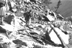AGI-Bologna_00076-Albero_1966_BO5-Fuoco-route-Gran-Paradiso
