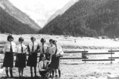 AGI-Bologna_00077-Albero_1966_BO5-Fuoco-route-Gran-Paradiso