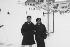 AGI-Bologna_00088-Albero_1967_BO5-e-BO2-campo-inver.rep-Pian-del-Falco-MO_dicembre
