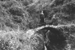 AGI-Bologna_00105-Albero_1968_BO5-Fuoco-route-Cinque-Terre-SP_Pasqua