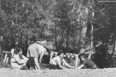 AGI-Bologna_00123-Albero_1968_BO5-campo-rep_Valtournanche-AO_ago
