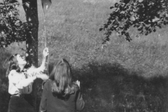 AGI-Bologna_00125-Albero_1968_BO5-campo-rep_Valtournanche-AO_ago