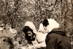 AGI-Cesena_01057-Albero_1961_Ces1-Fuoco-route-regionale-appennino-modenese_Pasqua