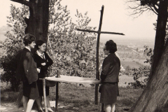 AGI-Cesena_01070-Albero_1968_S.Giorgio-regionale-guide-a-Lizzano-di-Cesena_seconda-a-sx-Paola-Cara