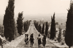 AGI-Cesena_01072-Albero_1968_S.Giorgio-regionale-Guide-a-Lizzano-di-Cesena