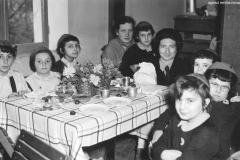 AGI-Bologna_01711-Albero_1953_coccinelle-BO1-e-Mirandola-a-Granaglione-in-accantonamento