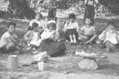 AGI-Bologna_01715-Albero_1953_coccinelle-BO1-e-Mirandola-a-Granaglione-in-accantonamento
