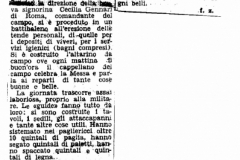 AGI-Bologna_01710-Albero_1952_campo-naz.di-formazione-per-le-tre-branche_Malcesine-articolo-giornale_luglio-