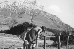 AGI-reg-EmRomagna_01682-Albero_1960-inizio-decennio_campo-branca-Guide
