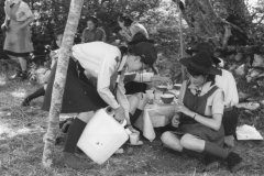 AGI-reg-EmRomagna_01683-Albero_1960-inizio-decennio_campo-branca-Guide