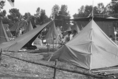 ASCI-reg-EmRomagna_01635-Albero_1947_Moisson-partecipazione-al-Jamb-della-Pace_agosto-03