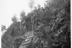 ASCI-Bologna_01225-Albero_1919_Primo-campo-di-comm.reg_26ago-3set