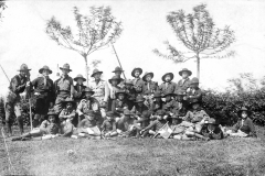 ASCI-Bologna_01243-Albero_1920_S.Giorgio-a-San-Vittore_colli-bolognesi-
