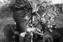 ASCI-Bologna_01245-Albero_1920_S.Giorgio-a-San-Vittore_colli-bolognesi-L.-Petrucci-