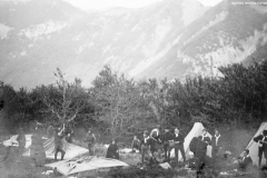 ASCI-Bologna_01279-Albero_1922_campo-scout-premilitare-Vergato-Val-Labante_da15a30agosto