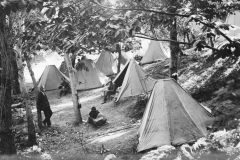ASCI-Bologna_01280-Albero_1922_campo-scout-premilitare-Vergato-Val-Labante_da15a30agosto
