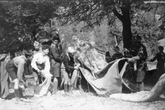 ASCI-Bologna_01281-Albero_1922_campo-scout-premilitare-Vergato-Val-Labante_da15a30agosto