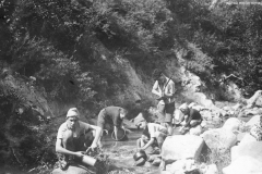 ASCI-Bologna_01285-Albero_1922_campo-scout-premilitare-Vergato-Val-Labante_da15a30agosto