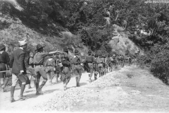 ASCI-Bologna_01290-Albero_1922_campo-scout-premilitare-Vergato-Val-Labante_in-marcia_da15a30agosto
