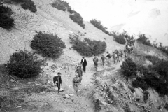 ASCI-Bologna_01291-Albero_1922_campo-scout-premilitare-Vergato-Val-Labante_in-marcia_da15a30agosto