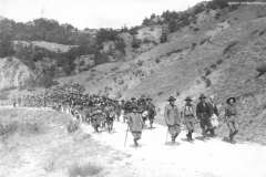 ASCI-Bologna_01293-Albero_1922_campo-scout-premilitare-Vergato-Val-Labante_in-marcia_da15a30agosto