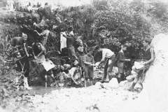 ASCI-Bologna_01295-Albero_1922_campo-scout-premilitare-Vergato-Val-Labante_al-campo_da15a30agosto