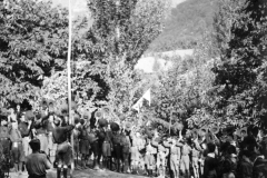 ASCI-Bologna_01296-Albero_1922_campo-scout-premilitare-Vergato-Val-Labante_al-campo_da15a30agosto