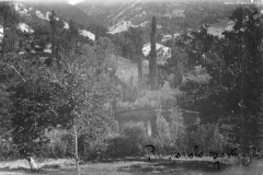 ASCI-Bologna_01342-Albero_1923_campo-regionale-a-Prunarolo-Vergato_13-28agosto