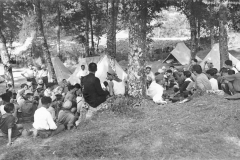ASCI-Bologna_01344-Albero_1923_campo-regionale-a-Prunarolo-Vergato_13-28agosto