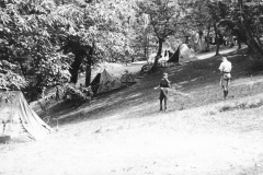 ASCI-Bologna_01346-Albero_1923_campo-regionale-a-Prunarolo-Vergato_13-28agosto