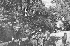 ASCI-Bologna_01347-Albero_1923_campo-regionale-a-Prunarolo-Vergato_13-28agosto