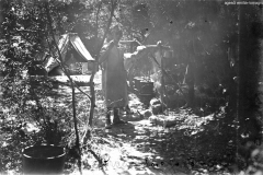 ASCI-Bologna_01349-Albero_1923_campo-regionale-a-Prunarolo-Vergato_13-28agosto