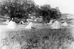ASCI-Bologna_01350-Albero_1923_campo-regionale-a-Prunarolo-Vergato_13-28agosto